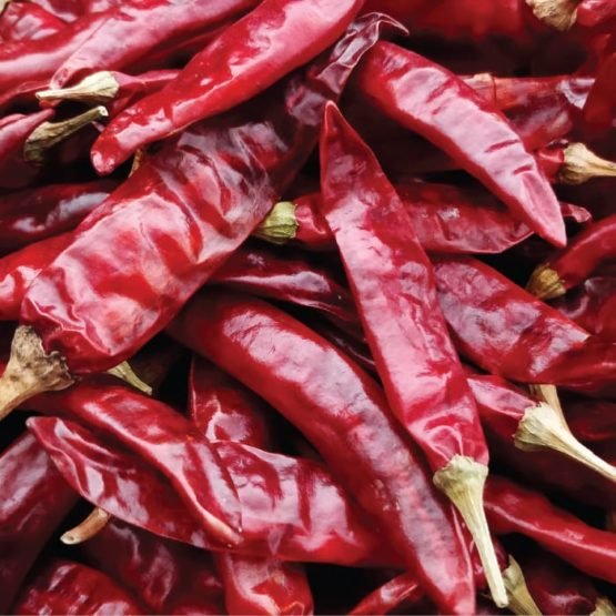 Red Chili Dried (Guntur)